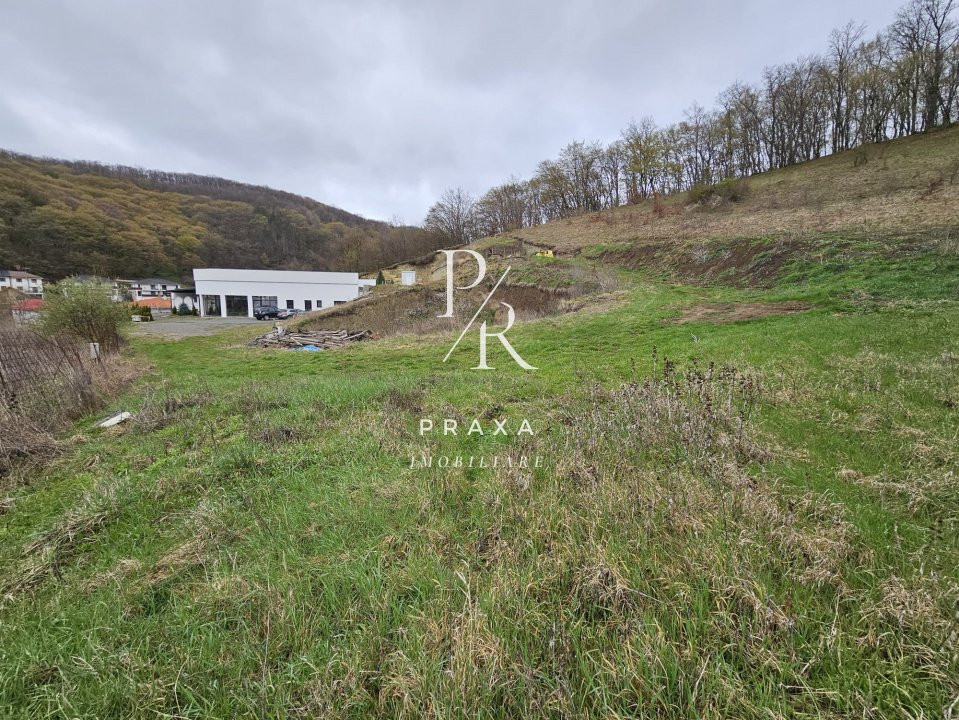 EXCLUSIVITATE! Teren de vanzare, 5.000 mp+ Restaurant mobilat si utilat!